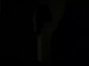 साहस के साथ कुत्ते र ...