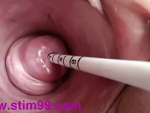 वह स्टूडियो से थक गय ...