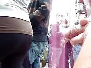 बेटा उसे बिल्ली, रेड ...